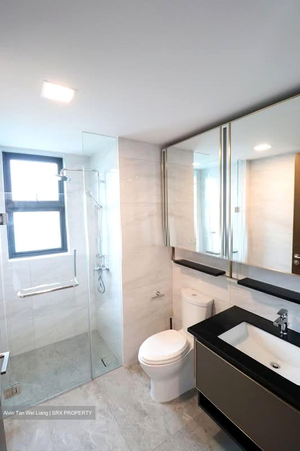 Normanton Park (D5), Apartment #594563731
